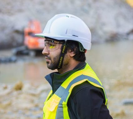Interpreting the Multi-employer Doctrine