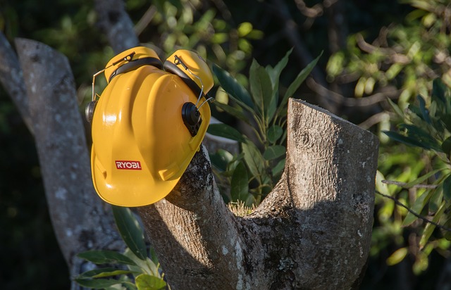 The Habit of Safety