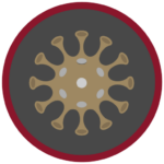 idp-logo idp-logo